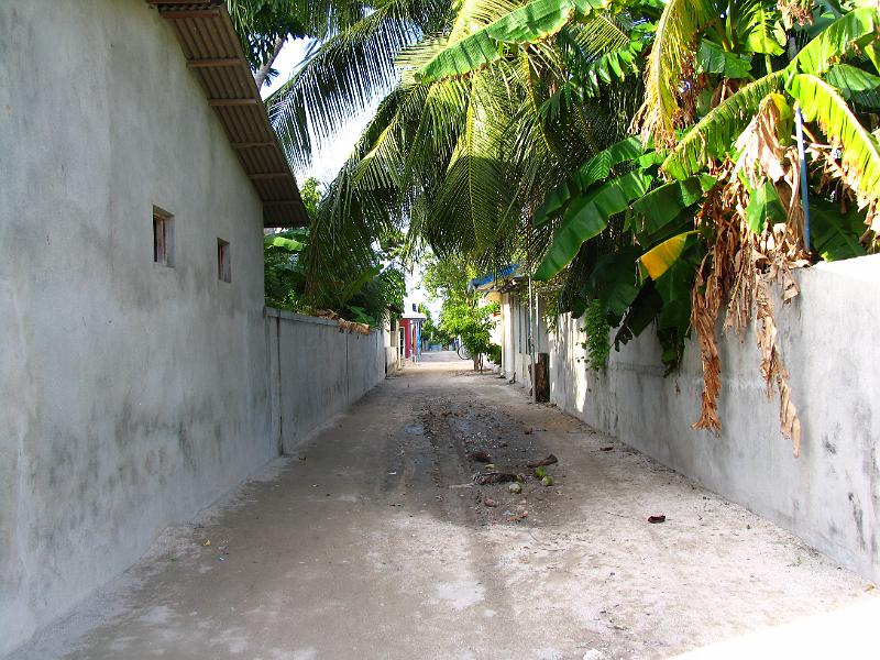 Rashdoo (53).jpg
